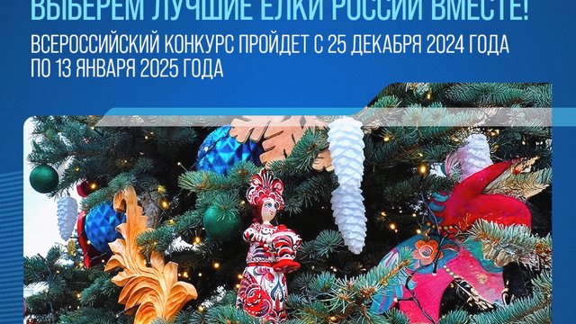 20241211 Елки