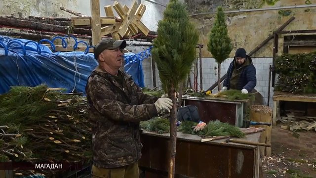 2025-11-22_13-28-27 (convert.io)