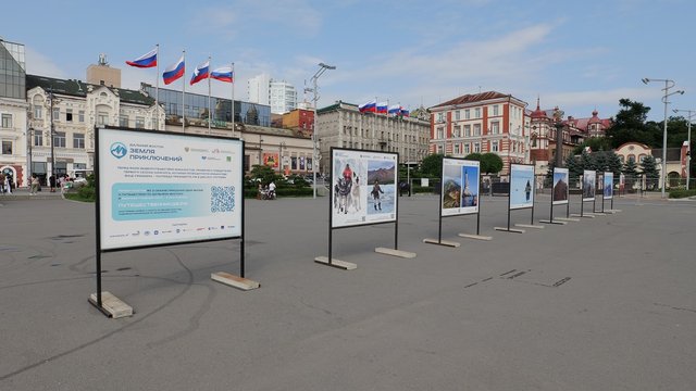 ДФО_владик