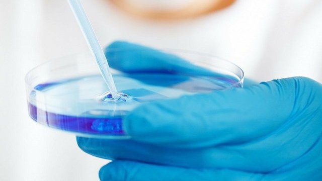 ГД_наука_био