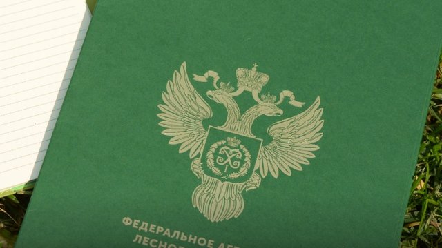 Рослесхоз разъяснил, когда недропользователь может не проводить восстановление леса