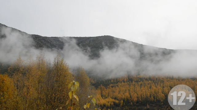 Снимок экрана 2025-10-15 150432