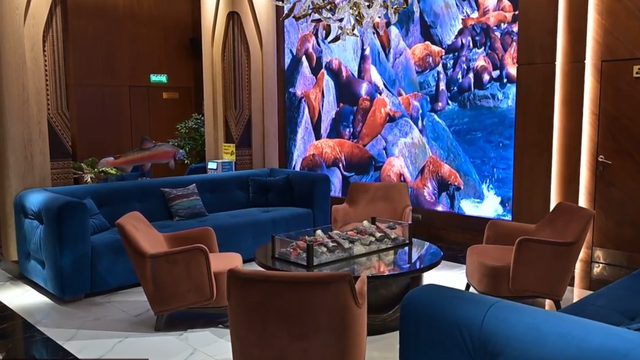 Снимок экрана 2026-01-16 131729