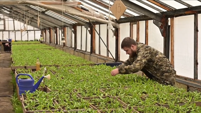 Снимок экрана 2026-02-05 124651