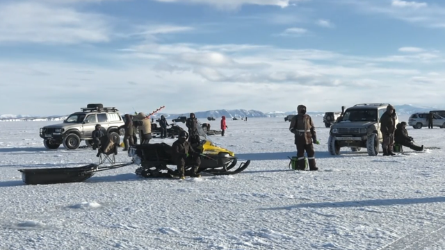 Снимок экрана 2026-02-09 133526