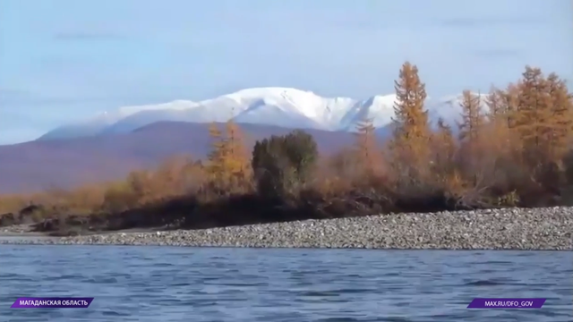 Снимок экрана 2026-02-10 134959