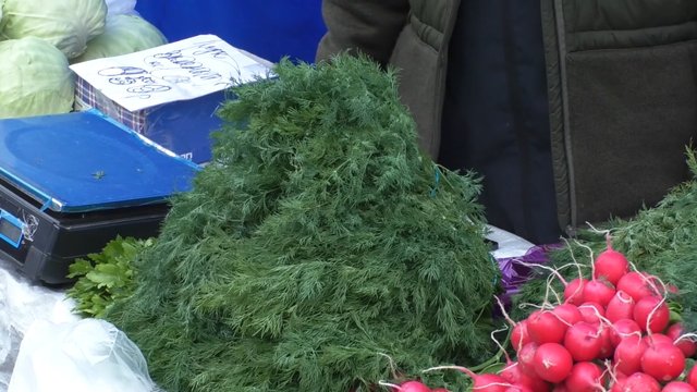 Снимок экрана (98)