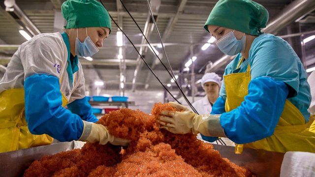 Производство красной икры выросло более чем в 2,5 раза за год