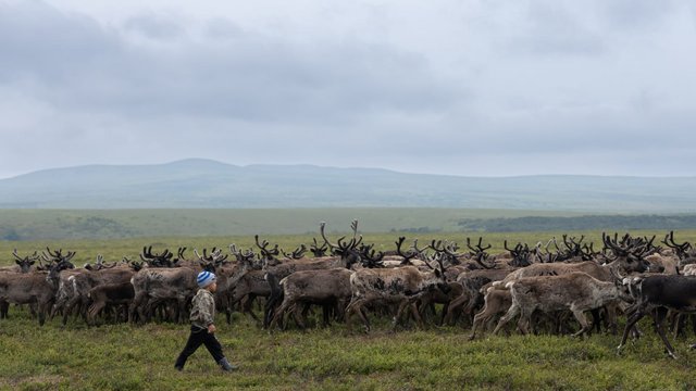 Президент подписал закон об образовании для коренных малочисленных народов