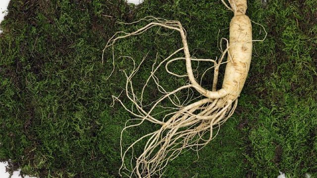 Уголовное наказание грозит за незаконную добычу и сбыт отдельных видов краснокнижных растений и грибов