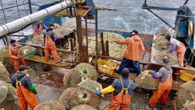 Новый краболов для магаданских рыбаков построят на хабаровском заводе