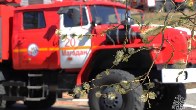 photo_2024-06-04_20-04-10