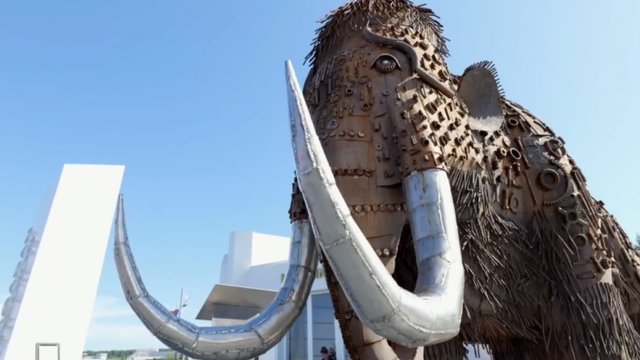 photo_2024-08-29_22-21-39