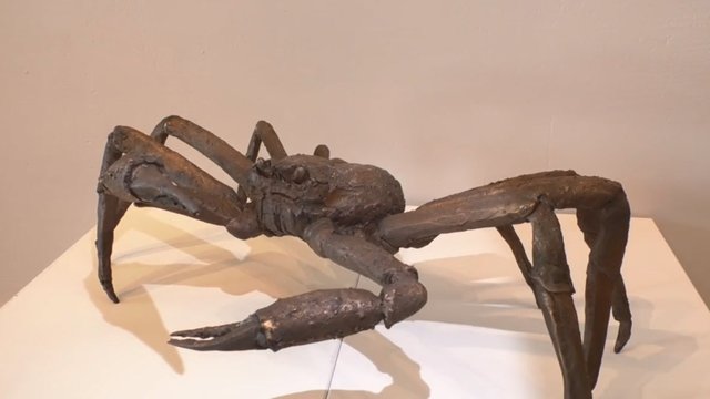 photo_2026-04-28_12-13-32