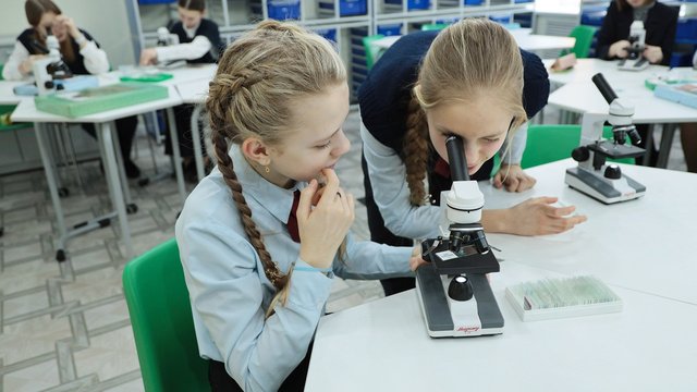 Еженедельные занятия по профориентации появятся в российских школах