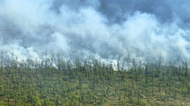 Почти 135 тысяч гектаров горит в Магаданской области