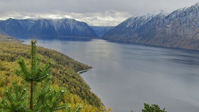 В России появится обновленный государственный лесной реестр