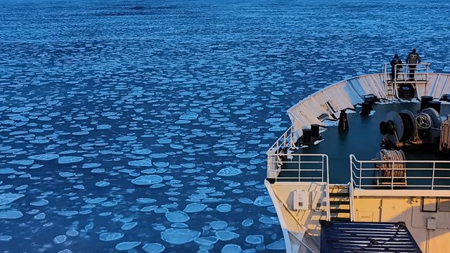 Около трети миллиарда рублей выделит кабмин на поддержку рыбного хозяйства