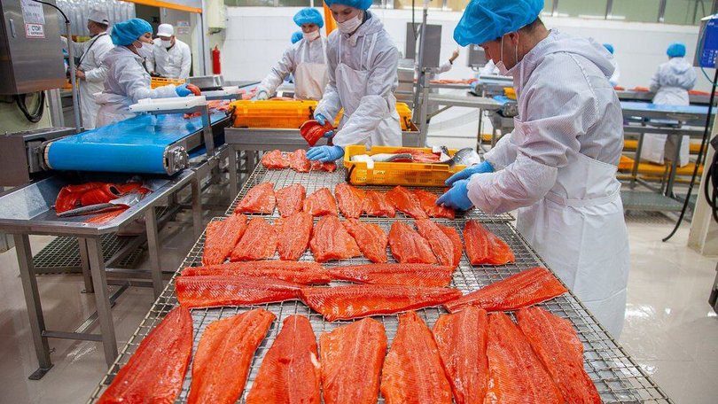 Производство рыбной продукции в России за шесть месяцев достигло 2 млн тонн