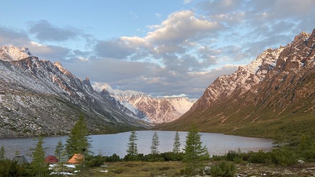 Магаданская область – лидер по приросту лесных доходов ДФО